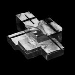 Portada para "Run from the Light"