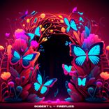 Fireflies (Extended Mix)