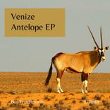 Artwork for "Antelope"