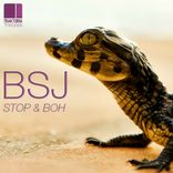 Artwork for "Stop & Boh"