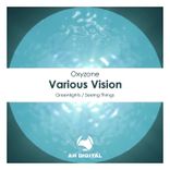 Artwork for "Various Vision"