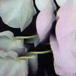 Artwork voor "Television Screen"