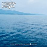 Artwork for "33 Signs To Dreamstate"