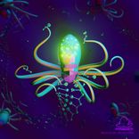 Artwork for "Molecular Selections"