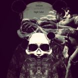 Artwork voor "Night Safari"