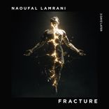 Portada para "Fracture"