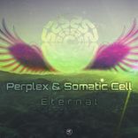 Artwork voor "Eternal"