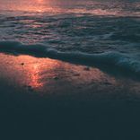 Portada para "Rester sur terre"