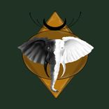 Artwork for "Karuna"