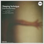 Artwork for "Sleeping Technique EP"