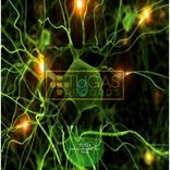 Artwork für "Sience"