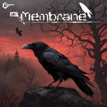 Artwork for "The Wolf"