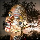 Artwork voor "Musangwe"