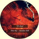 Portada para "Stainless Still"