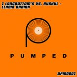 Portada para "Llama Drama"