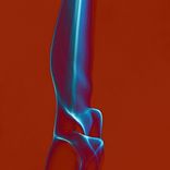 Portada para "Untamed"