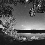 Artwork for "I Just Want to Love"