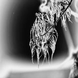 Artwork for "Brass Train"