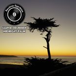 Artwork für "Midnight Palm"