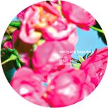 Portada para "Cause & Effect"