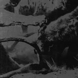 Artwork für "Orange County Acid Remixed"