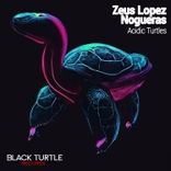 Artwork for "Acidic Turtles"