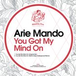 Artwork voor "You Got My Mind On"