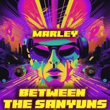 Artwork for "Between The Sanyuns"