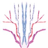 Portada para "Vondel Park"