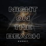 Artwork voor "Night on the Beach"