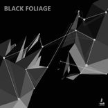 Artwork for "Black Foliage"