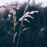 Artwork for "Sharing Time With You Has Been My Biggest Joy"