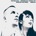 Artwork for "Important Notice EP"