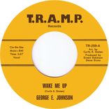 Portada para "Wake Me Up"