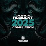 Artwork für "Resilient Recordings best of 2025"