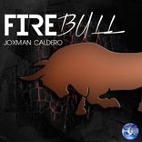 Portada para "Firebull"