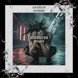 Artwork voor "MADNESS"