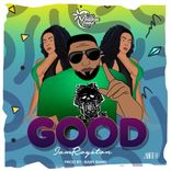 Portada para "Good"
