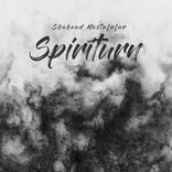 Artwork for "Spiriturn"