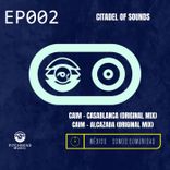 Artwork for "Citadel of Sounds"