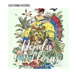 Artwork for "Déjala Llorar"