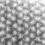 Bassu Grassu (Original Mix)