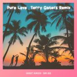 Artwork for "Pure Love (Terry Gaters Remix)"