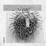 Artwork for "Blood Fire Debt"