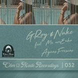 Artwork voor "Aguas Frescas"