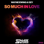 Artwork voor "So Much In Love"