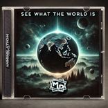 Artwork for "See What The World Is / Are You Mad VIP"