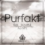 Artwork for "The Temple / Agape"