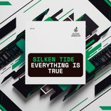 Artwork für "Everything Is True"