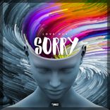 Artwork for "Sorry"